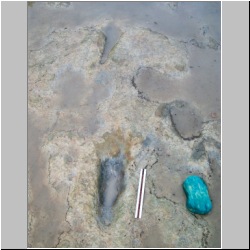 100_1230(07-30-2009p) mod.JPG